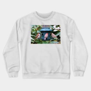 Three Bird Friends Crewneck Sweatshirt